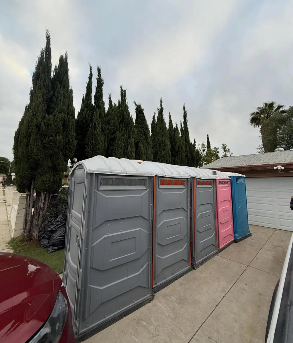 Gray, pink and blue porta potties in a row beside a house